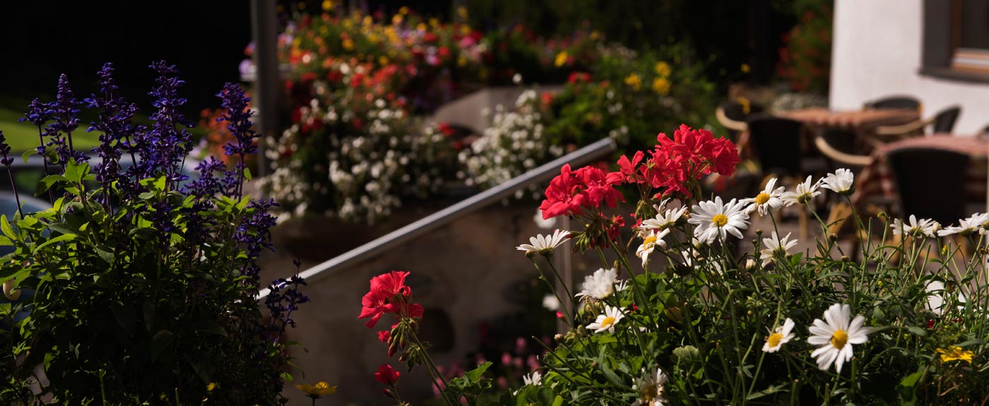 Flowers on the sun terrace of the hotel