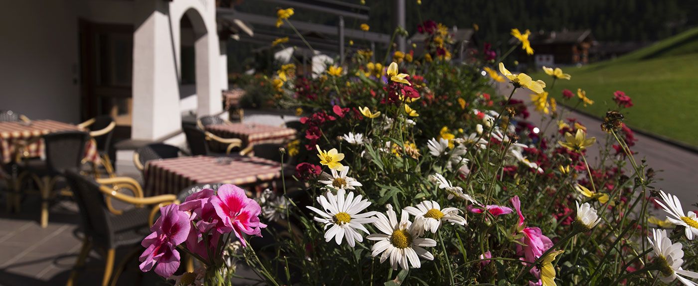 Bunch of flowers on the sun terrace