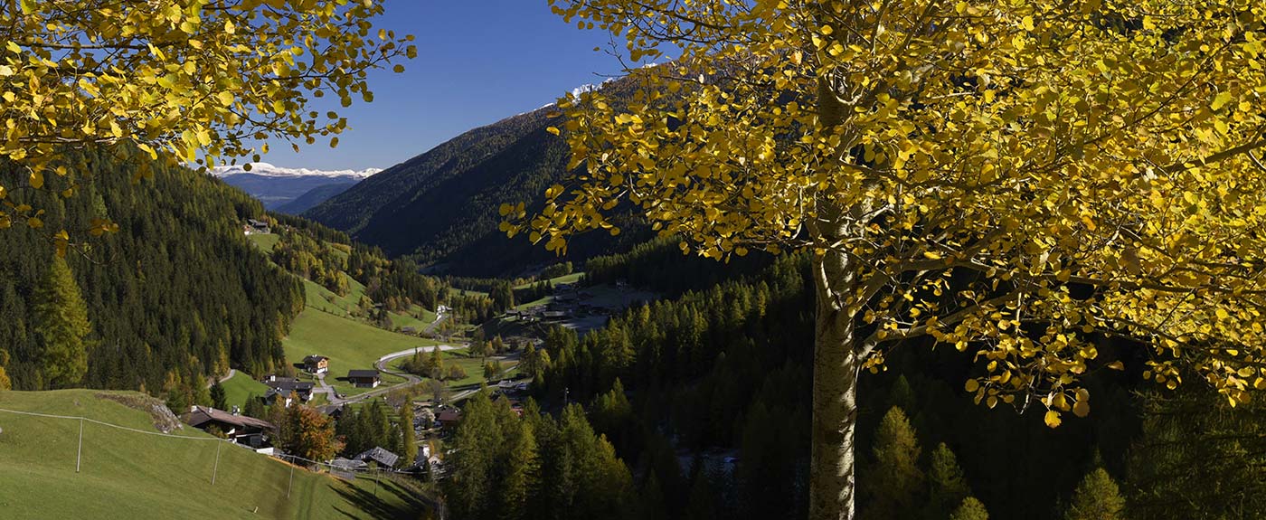View of Val d'Ultimo-Ultental with autumn trees and snowy mountains in the distance