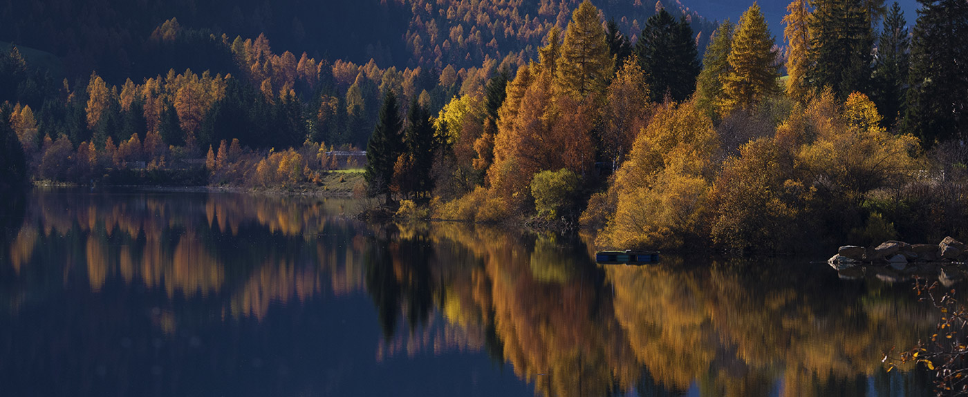 Herbstliche Bäume am Ufer eines Sees