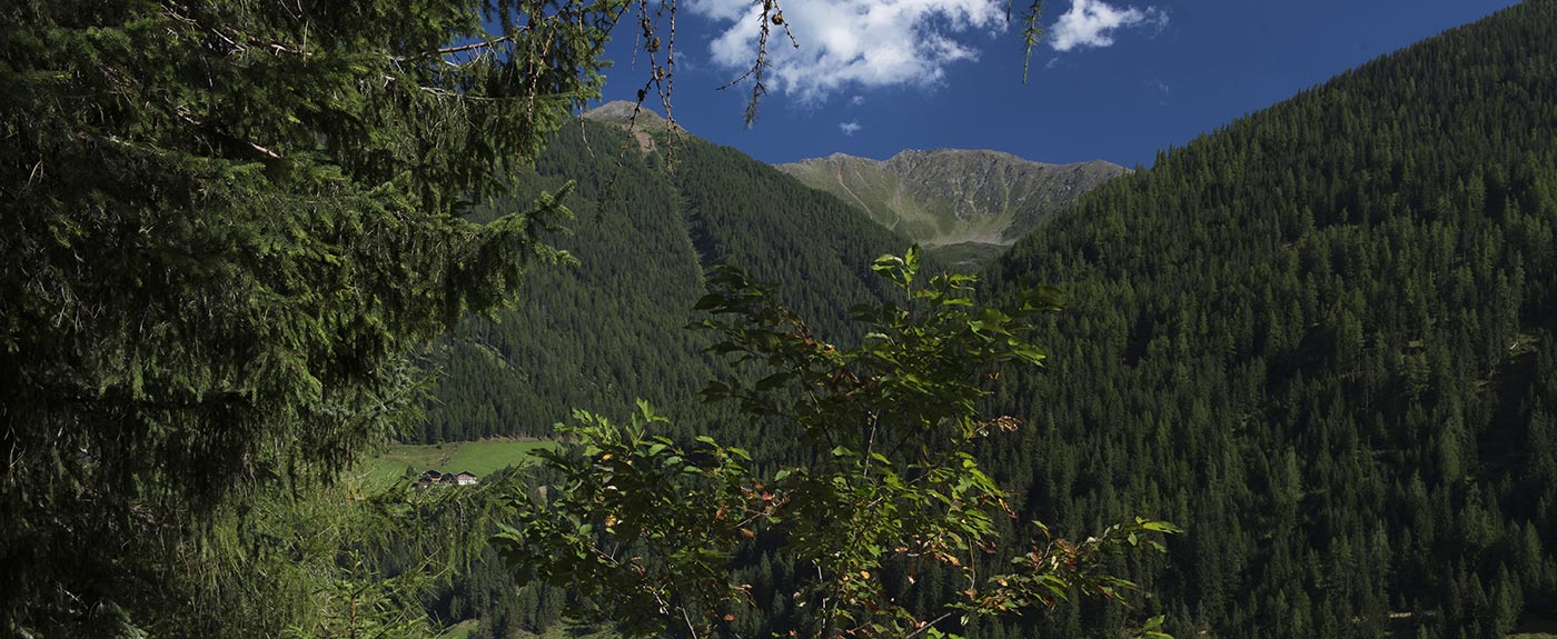 Vista sulla Val d'Ultimo