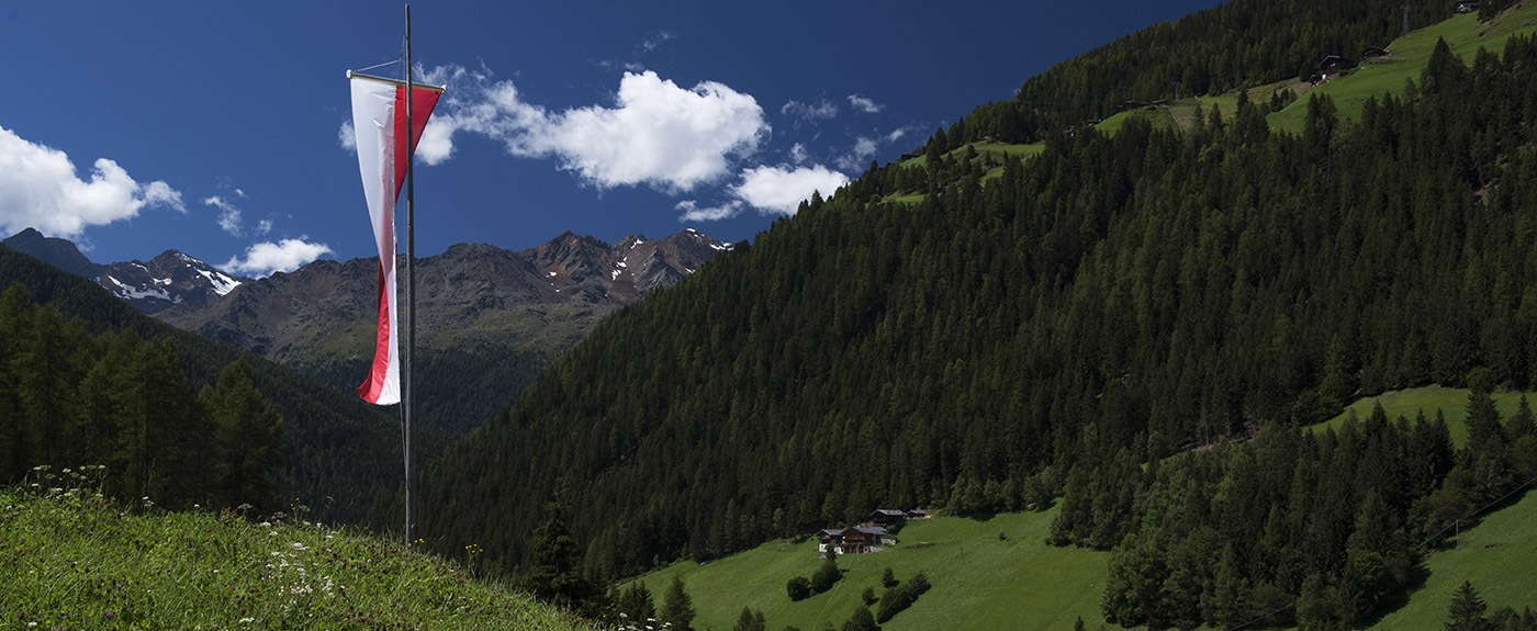 Südtiroler Fahne weht im Wind mit Wäldern und blauem Himmel im Hintergrund