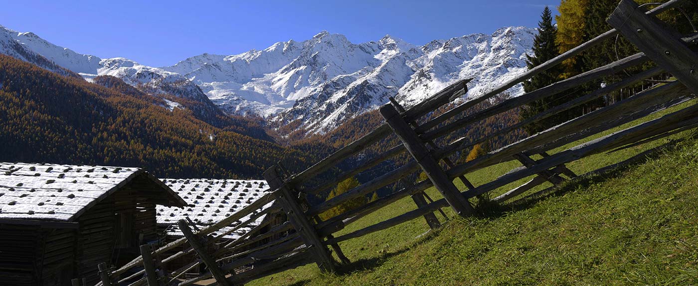 Berghütten und Holzzaun auf der Alm mit verschneiten Bergen im Hintergrund