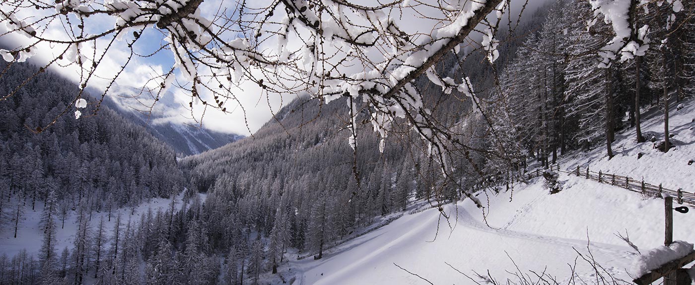 View of snowy Val d'Ultimo-Ultental